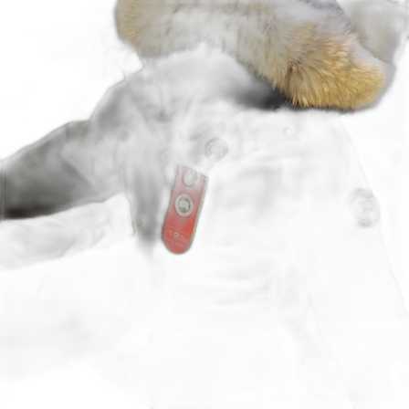 Canada Goose Victoria Parka XXS/XS