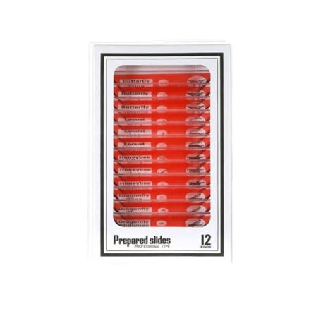 Mikroskopobjektglas Mikroskopprøveforberedte objektglas RØD Red