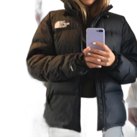 The north face jacka