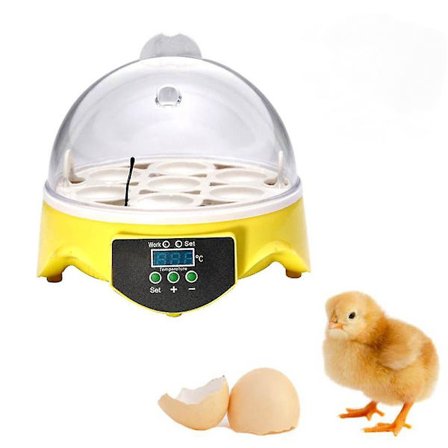 Automaattinen siipikarjan 7 munan hautomakone lämpötilan säädöllä - Täydellinen