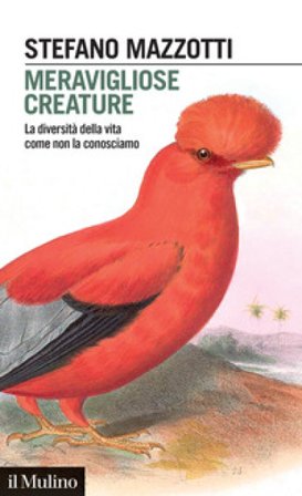Meravigliose creature. La diversità della vita come non la conosciamo Stefano Mazzotti