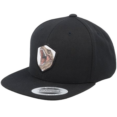 Kinder Kiddo Cap - Schwarz snapback Cap - Kinder T-rex Dino Wooven Patch Black Snapback @ Hatstore