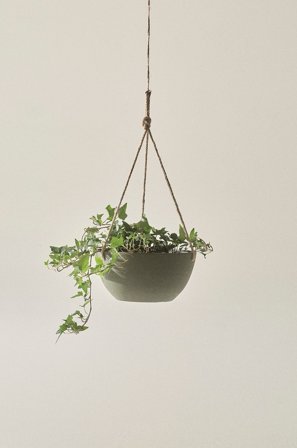 Jotex - Hengekrukke ø 25 Cm Olivengrønn - MARK - Kjøp Hagekrukker hos Jotex