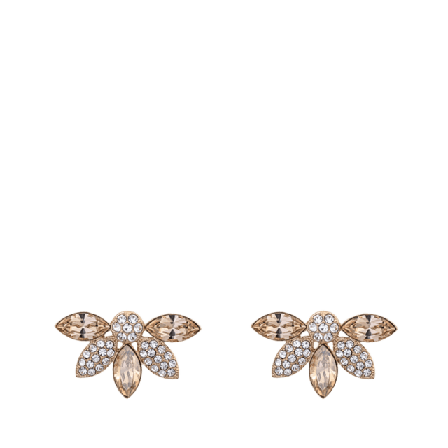 Lily and Rose Lucia earring Smycken & klockor Dam Beige ONESIZE