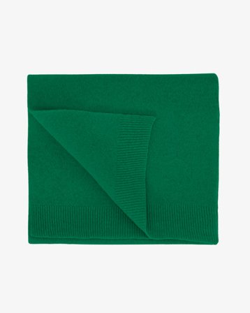 Merino Wool Scarf - Kelly Green - Female - One Size