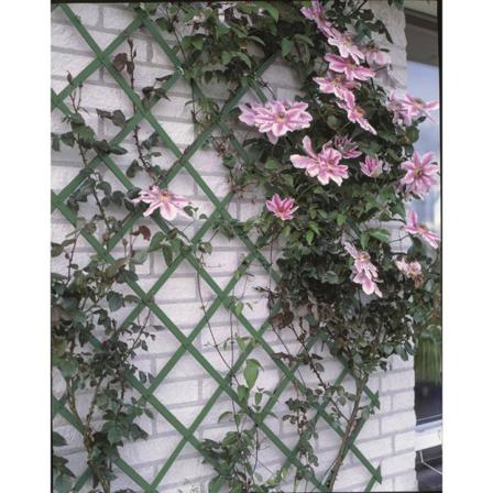 Nature Trädgårdsspaljéer 2 St 100x200 Cm Pvc Grön Grön