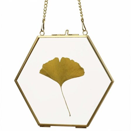 IC Veggmontert glassram for pressede blomster - Glassram