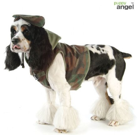 Puppy Angel - PA Military hardness Camo - Hundsele