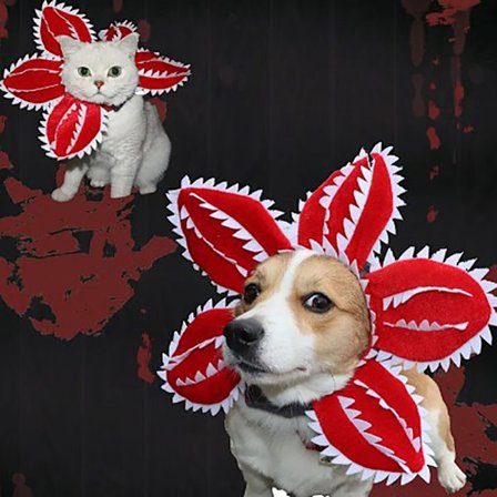 Halloween Pet Dog Hat Kannibal Blomma Huvudbonader Fotografi rekvisita