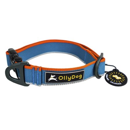 OllyDog Urban Trail Reflective Collar Dog Harnesses & Dog Collars Blue L