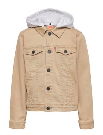 Hooded Trucker Beige Levi's