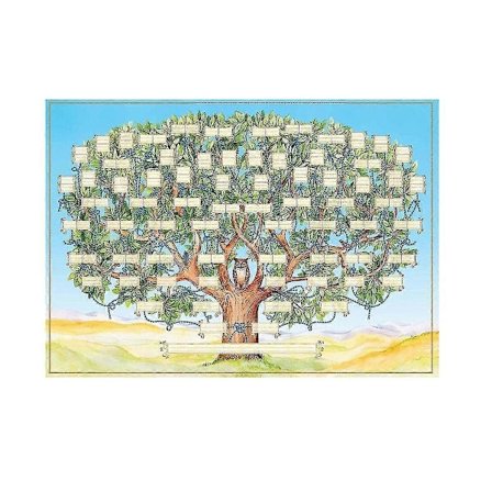 Släktträd Diagram Att Fylla I 6 Generationer Genealogi Poster Tom Ifyllbar Anor Diagram, tryck Fami