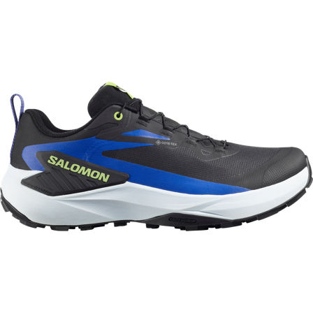 Salomon - Sko til terrengløping Fottøy Genesis Gtx