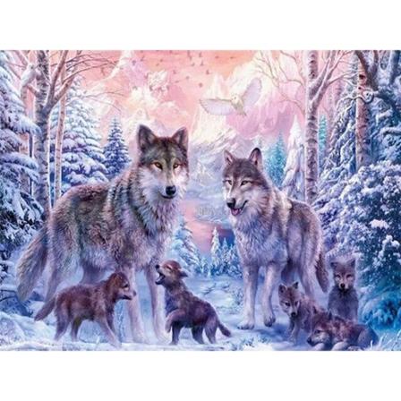 30x40cm, sneulv 5d diamantmalet rhinestones broderi lærred