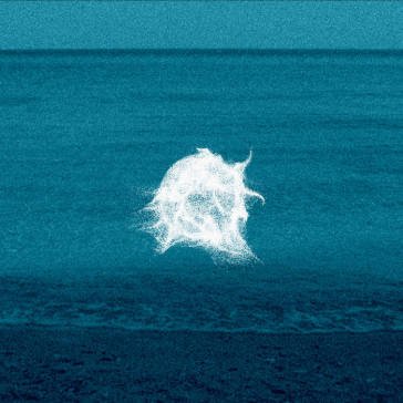 Simulacra PASCAL SAVY