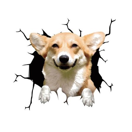 Søt valp, sett med 4 3D-hundeklistremerker - kjøleskapsmagneter - fransk bulldogdesign - 30 cm x 30 cm