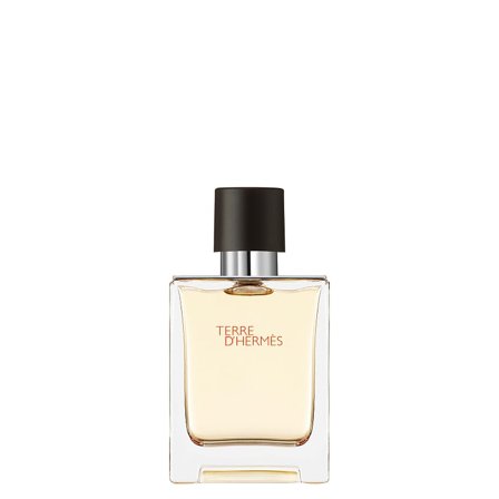 HERMÈS Terre d'Hermès Eau de Toilette 50 ml, Parfumer & Dufte, Herredufte, Terre D'hermès