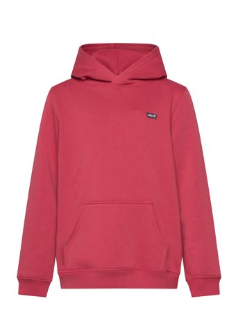 Levi's | Po-Pull-Over Hoody | 110