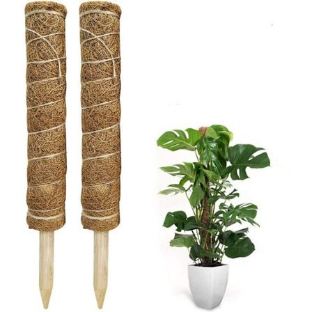 Mosestokk, 2 stk 40cm Monstera klatrestøtte, utvidbar naturlig plantestokk kokosnøttstokk, plantesupport for klatrestøtte innendørs planter hage
