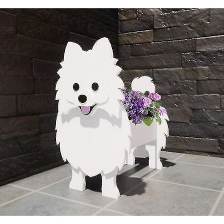 Pomeranian hund blomkruka husdjur hund blomkruka härlig husdjur krukväxt trädgårdsdekoration