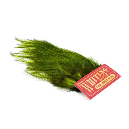 Whiting CDL Euro Nymph Tailing Pack Pardo dyed Fl Green Chartreuse