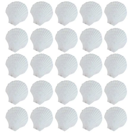 25 stk. Kammuslingsskaller, Til DIY Farvelægning Skaller-God