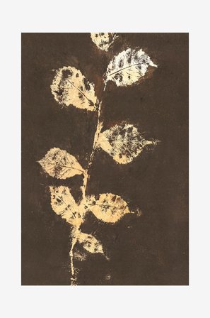 Malerifabrikken - Poster Pure Nature 4 - Brun - Posters - Från Homeroom