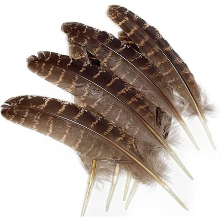 Naturliga kalkonfjädrar 5-7 tum Festpyssel Hatt Gör-det-själv-dekoration per förpackning om 10