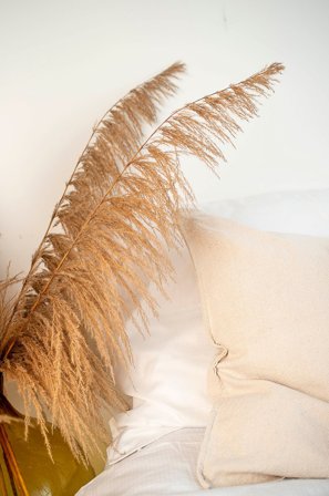 Venture Home - Juliste Bohemian - Beige - Julisteet - 21X30 - - Homeroom