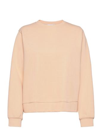 Pique8 Pink Mango