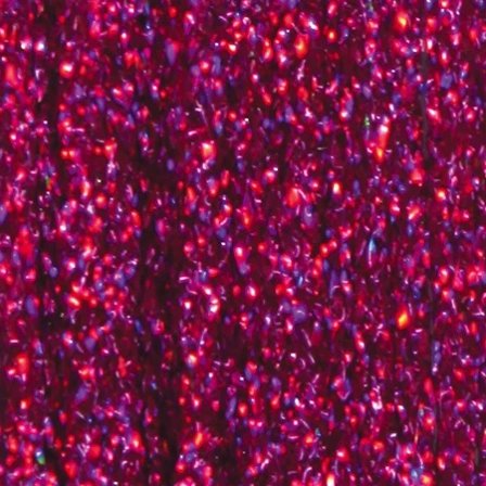 Frödin SSS Holo Braid - Evil Magenta