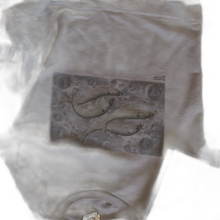 Acne studios sweetshirt