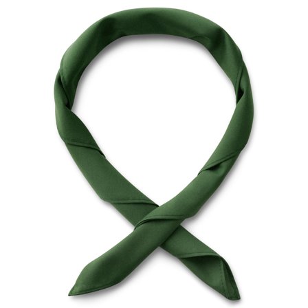 Foulard standard verde per uomini - Fazzoletto da collo (foulard)