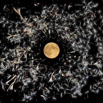 All of this is chance Lisa O'Neill