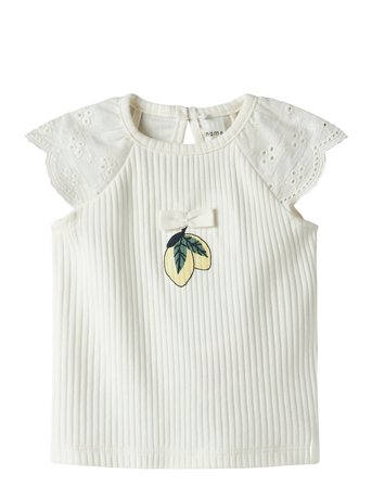 name it | Nbfferry Ss Top Box | 62