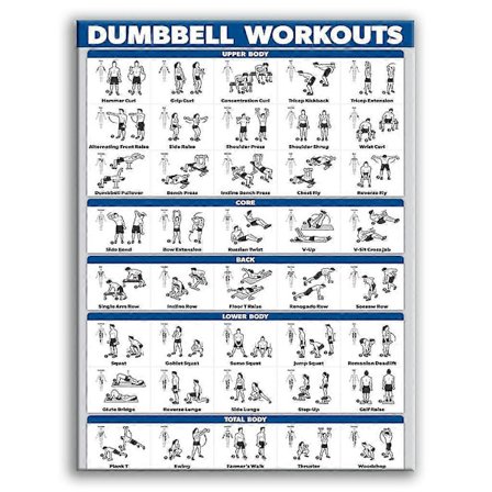 Lærings Plakat med Håndvægt Træningsøvelser Lamineret Fri Vægt Bodybuilding [HK]