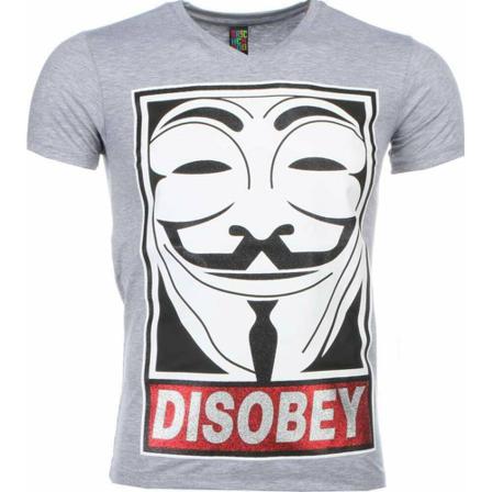 Local Fanatic - T-shirts - Grå - Herr - Storlek: Xs, Herr, Storlek: XS