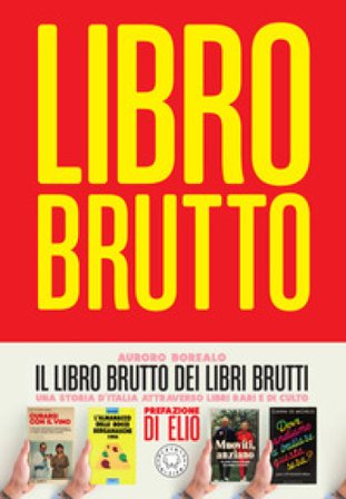 Il libro brutto dei libri brutti Auroro Borealo