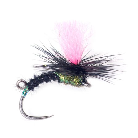 Guideline Indi Black Klink #12