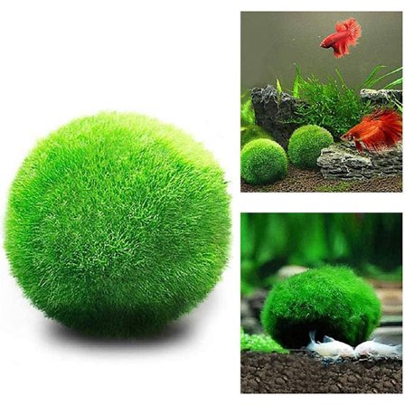 Medium Moss Baller, Akvariedekorasjon, Arvegodsgave, Elsket av Akvariedyr, 10 Baller