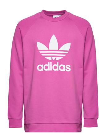 Adicolor Classics Trefoil Crewneck Sweatshirt Sweat-shirt Tröja Rosa Adidas Originals