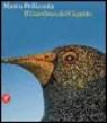 Marco Pellizzola. Il giardino del gigante. Ediz. illustrata Marco Pellizzola