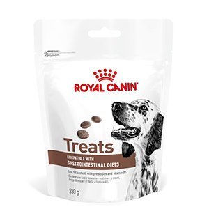 Royal Canin Dog Gastrointestinal Treats, 230g