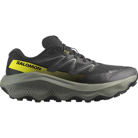Salomon Ultra Flow 2 GTX M Black/Sedona Sage/Incaberry