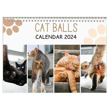 Morsom kalender - Morsom gave - Katter Rumpekalender 2024 - Fancy Gaver - -pop - Testikler -