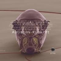 Autistisk Kilskrift - Bok av Sten Hanson, Giuliano Medici, m.fl. - Häfte